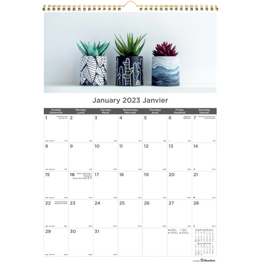 Blueline Blueline Monthly Wall Calendar