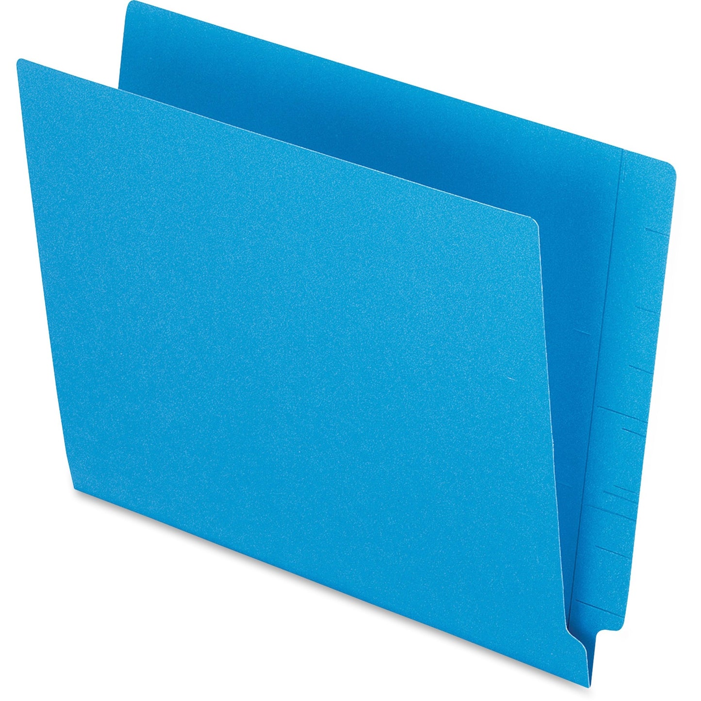 Pendaflex Letter Recycled End Tab File Folder